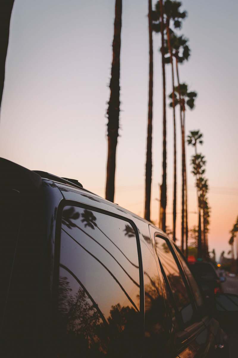 united states silhouette of tree and vehicle car